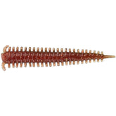 Berkley Gulp! 2 inch Scented Saltwater Plastic Sandworm 24 pack