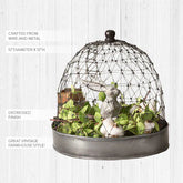 French Chicken Wire Cloche with Tray