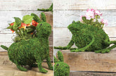 *LARGE* Bunny and Frog Moss Covered Planter